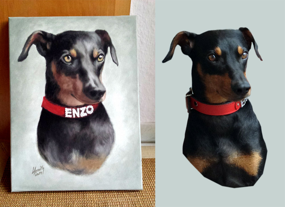 Hundeportrait mit Dackel