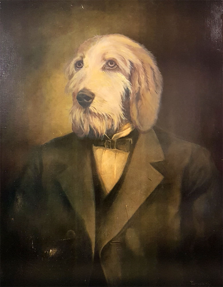 Hund im Anzug